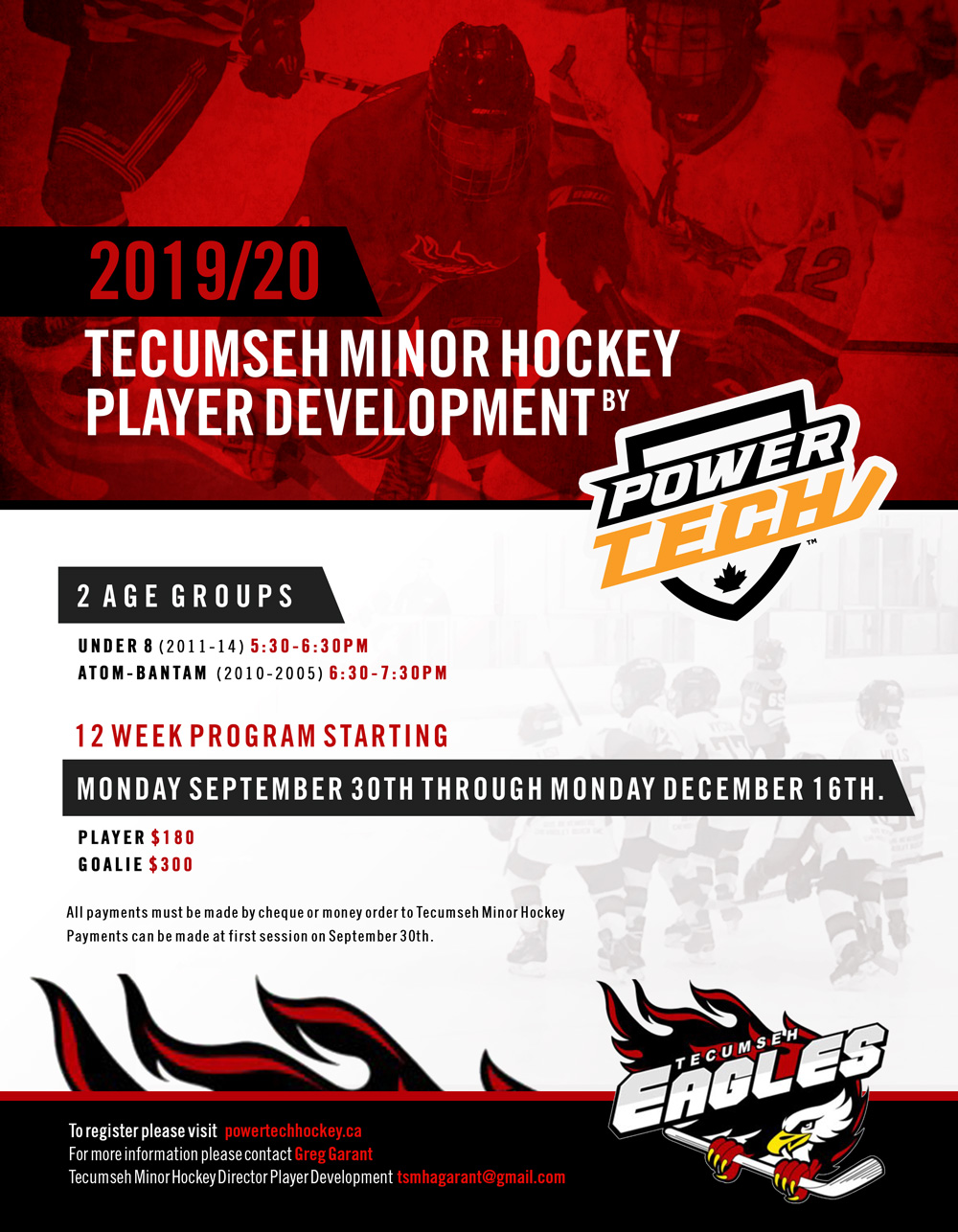 Tecumseh-Minor-Hockey-Player-Development.jpg